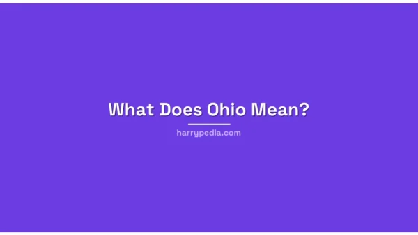 What Does Ohio Mean? The Meme That Turned a State Into an Insult