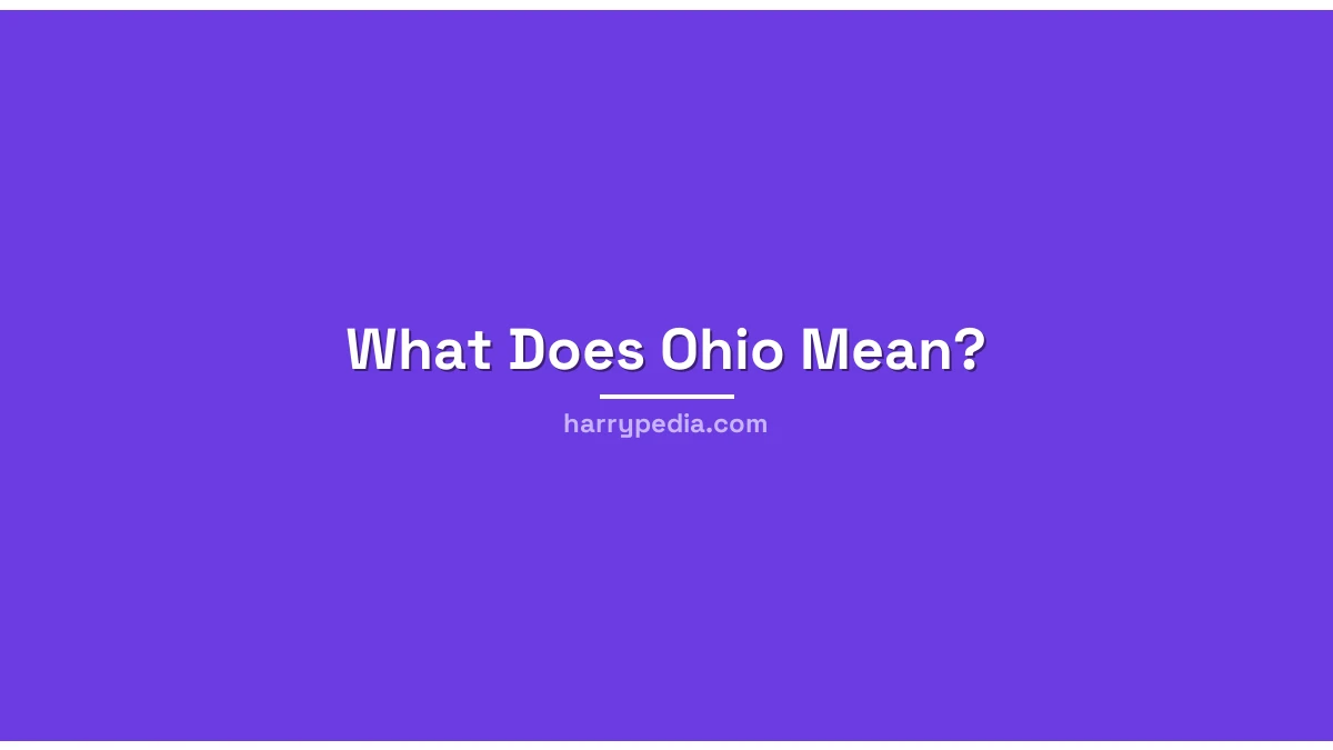 What Does Ohio Mean? The Meme That Turned a State Into an Insult